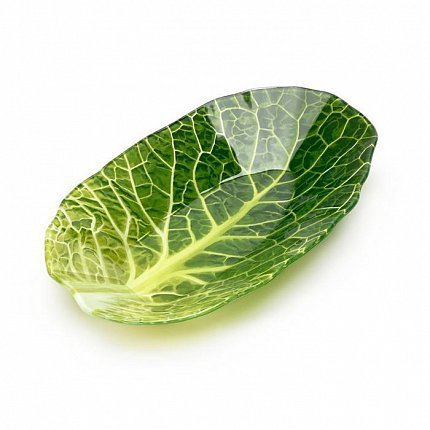  Leaf Lettuce, 16x26 