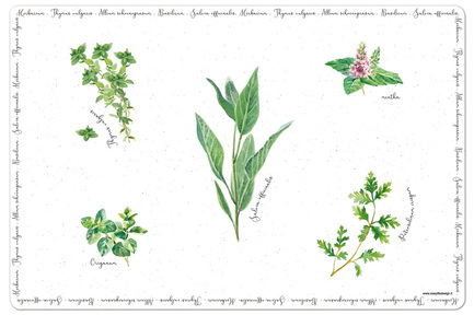    Herbarium, , 4530 