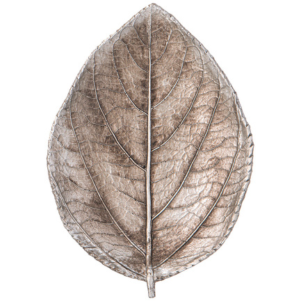   Leaf, 16.11.62.8 