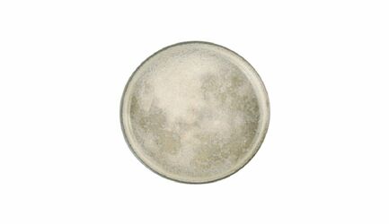     Stoneware Selene, 302.2 , 