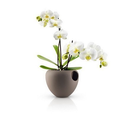    Orchid pot, , 18.2x18.5x14.5 