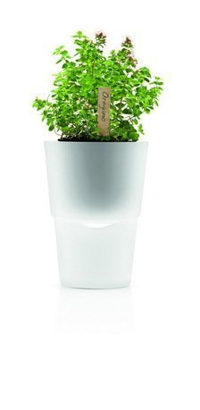    Herb pot, , 13x20 