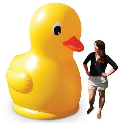   Rubber Duckie