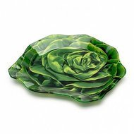 Walmer   Lettuce, 16x18 