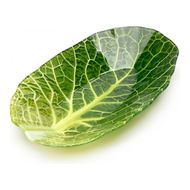 Walmer  Leaf Lettuce, 15.6x25.74 