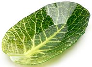 Walmer  Leaf Lettuce, 17.5x27.44.3 