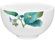 Noritake    . , 13 