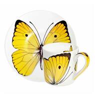 Taitu     Freedom Butterfly (100 ), 