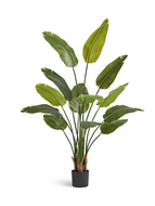 Treez  New Style Sensitive Botanic, 160 , c UV-, 