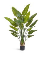 Treez  New Style Sensitive Botanic, 180 , UV-, 