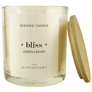 Ambientair   The Olphactory Bliss, Green Rhubarb, 40 