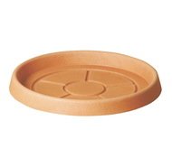 TeraPlast  Saucer Rotondo Classic, 37x4.1 , -